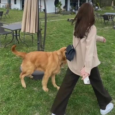 怨鬼之家